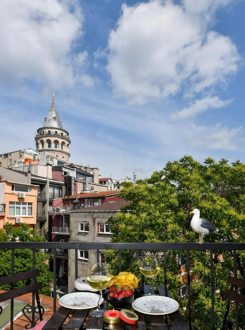 Apartamento Galata Tower Is Almost In Your Bedroom And In The Balconies Rooftop Terrace With Golden Horn View Estambul